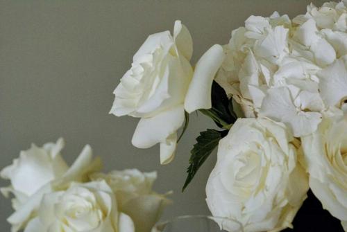 White-Flowers1